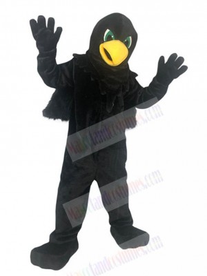 Eagle Hawk mascot costume