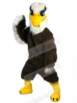 Eagle Hawk mascot costume