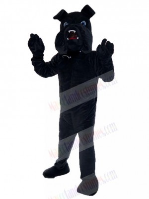 Dog mascot costume