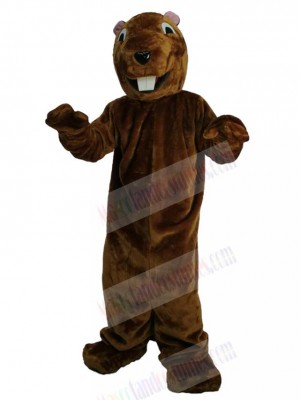 Groundhog mascot costume