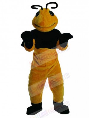 Bee mascot costume
