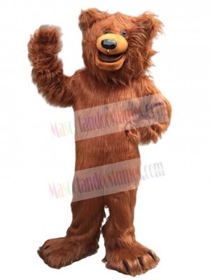 Bear mascot costume