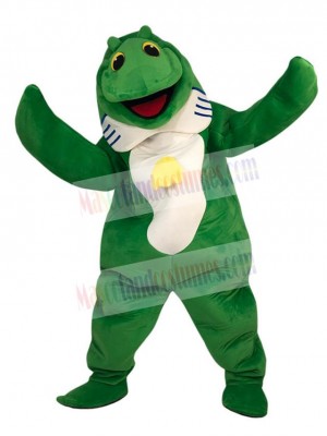 Fish mascot costume