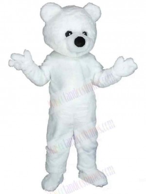 Bear mascot costume