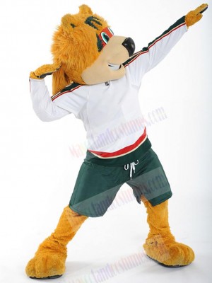 Bear mascot costume