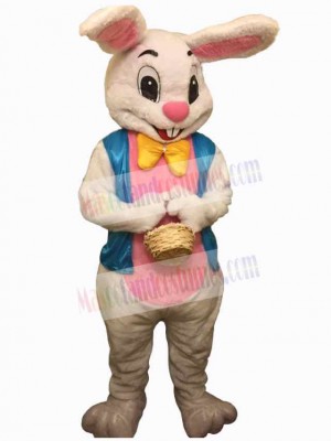 Easter Bunny Rabbit mascot costume