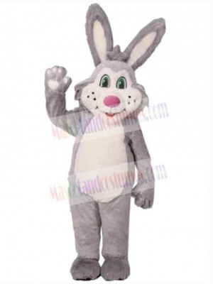 Easter Bunny Rabbit mascot costume