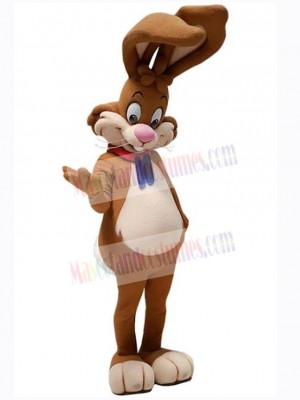 Easter Bunny Rabbit mascot costume