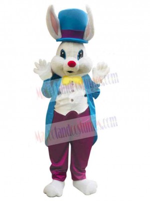 Easter Bunny Rabbit mascot costume