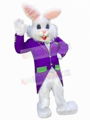 Easter Bunny Rabbit mascot costume