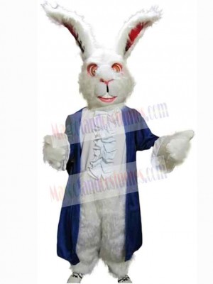 Easter Bunny Rabbit mascot costume