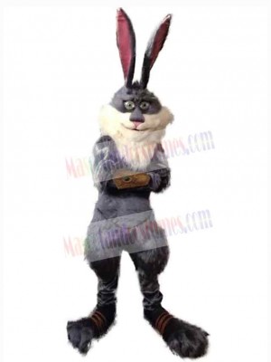 Easter Bunny Rabbit mascot costume