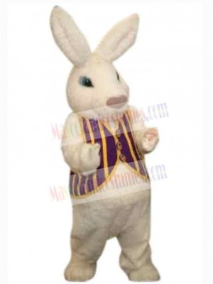 Easter Bunny Rabbit mascot costume