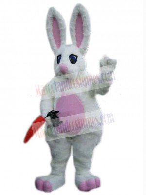 Easter Bunny Rabbit mascot costume