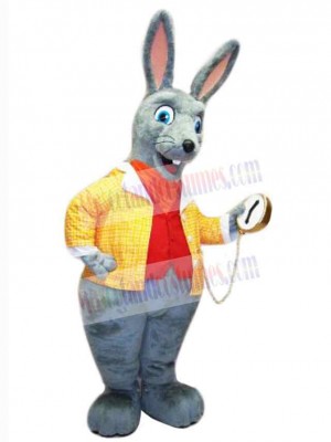 Easter Bunny Rabbit mascot costume