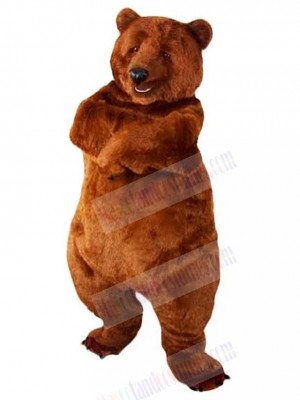Bear mascot costume