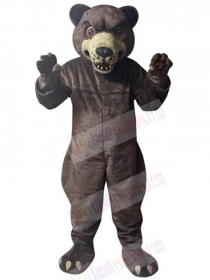 Bear mascot costume