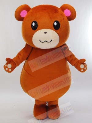 Bear mascot costume