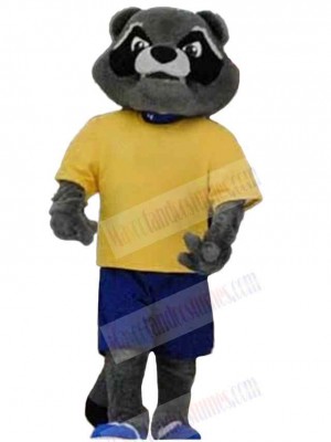 Raccoon mascot costume