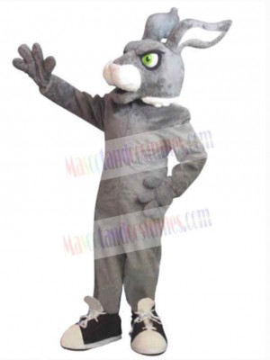 Easter Bunny Rabbit mascot costume