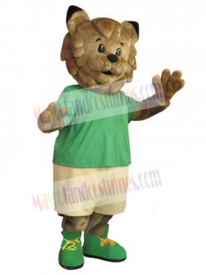 Wildcat mascot costume