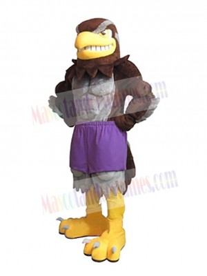 Falcon mascot costume