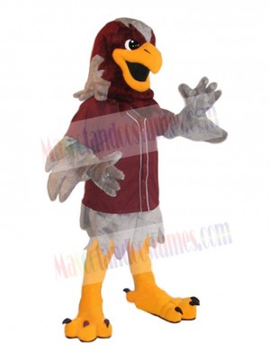 Falcon mascot costume