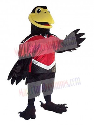 Crow mascot costume