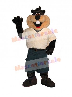 Beaver mascot costume