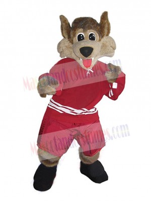 Coyote mascot costume