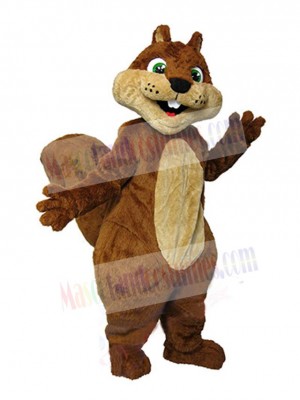 Squirrel mascot costume