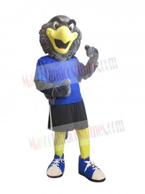 Falcon mascot costume