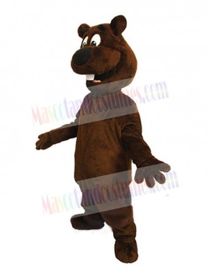 Beaver mascot costume