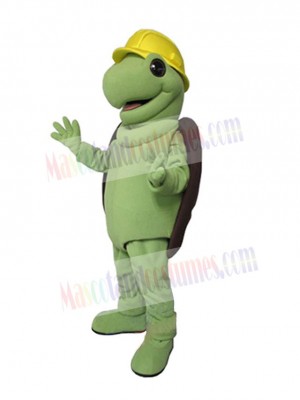 Turtle mascot costume