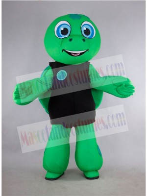 Turtle mascot costume