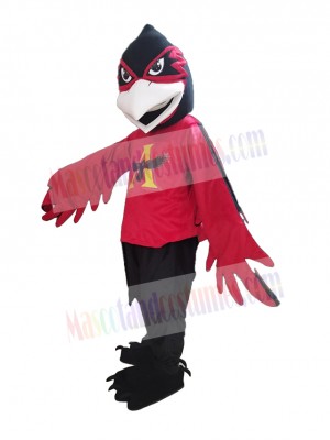 Raven mascot costume