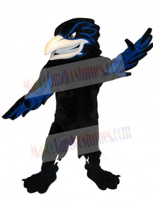 Raven mascot costume