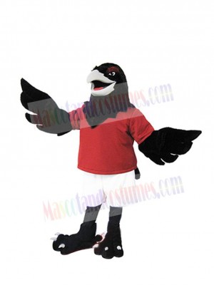 Raven mascot costume