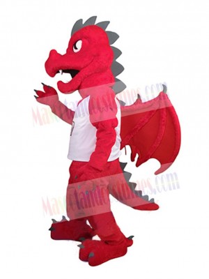 Dragon mascot costume