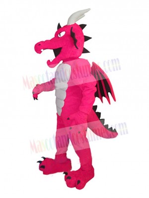 Dragon mascot costume