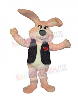 Easter Bunny Rabbit mascot costume