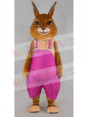 rabbit mascot costume