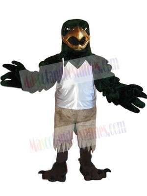 Falcon mascot costume