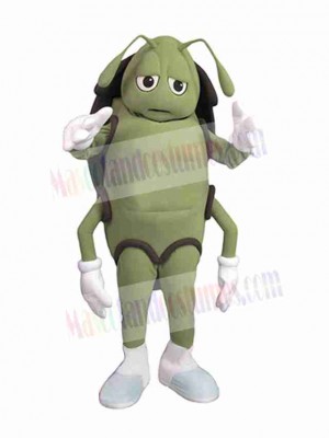 Cockroach mascot costume