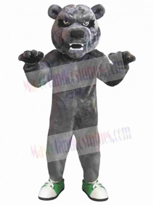 Bear mascot costume