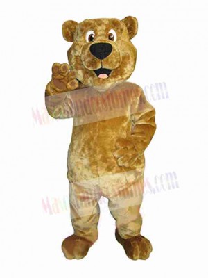 Bear mascot costume