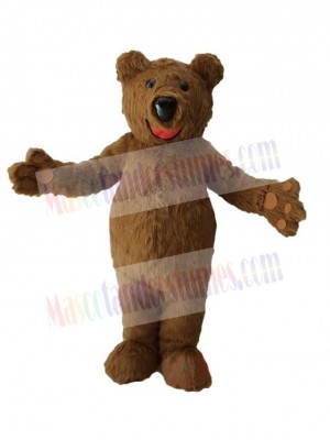 Bear mascot costume