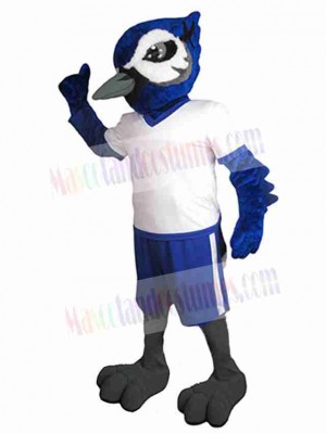 Bird mascot costume