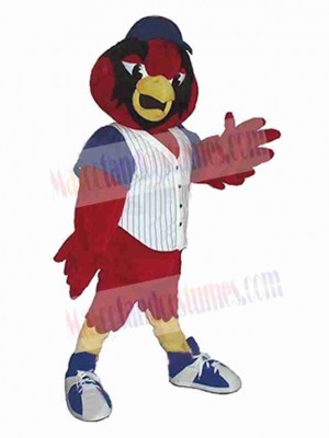 Bird mascot costume