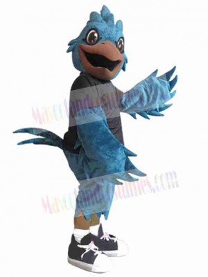 Bird mascot costume